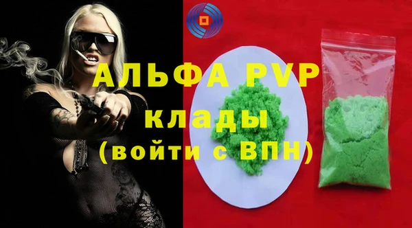 Альфа ПВП Бородино
