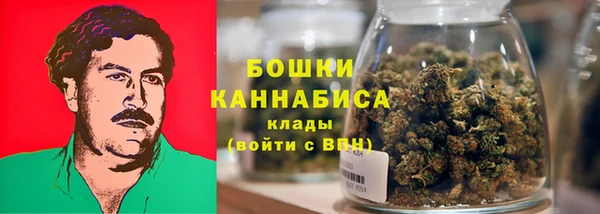 Альфа ПВП Бородино