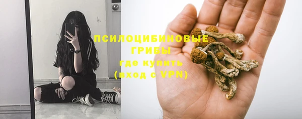 Альфа ПВП Бородино