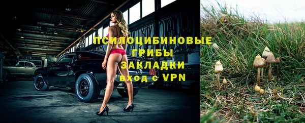 mdpv Верхний Тагил