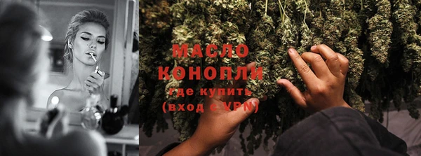 Альфа ПВП Бородино